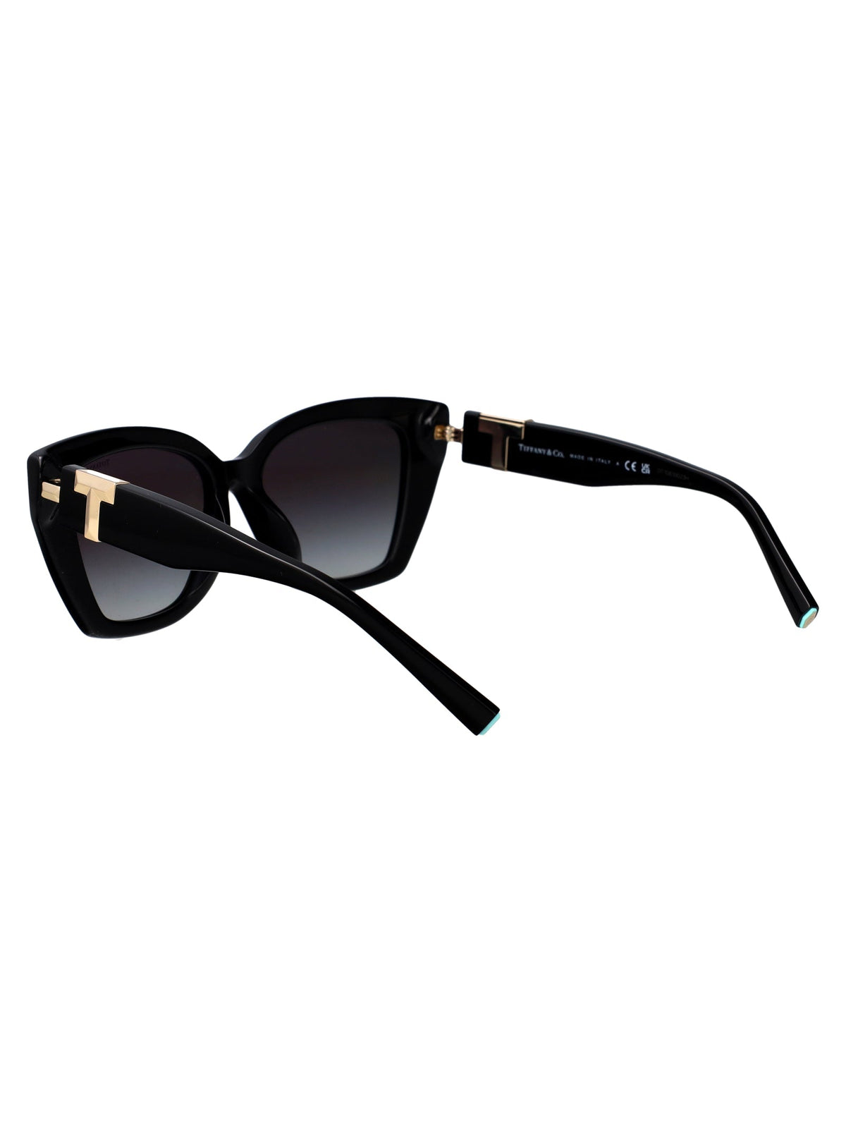 TIFFANY & CO Chic Acetate Sunglasses for Women - FW25 Collection