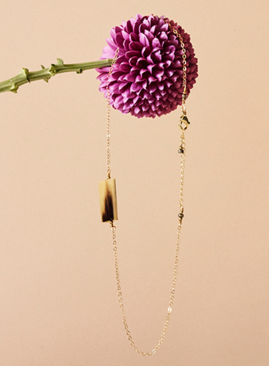 Horn Pendant Choker