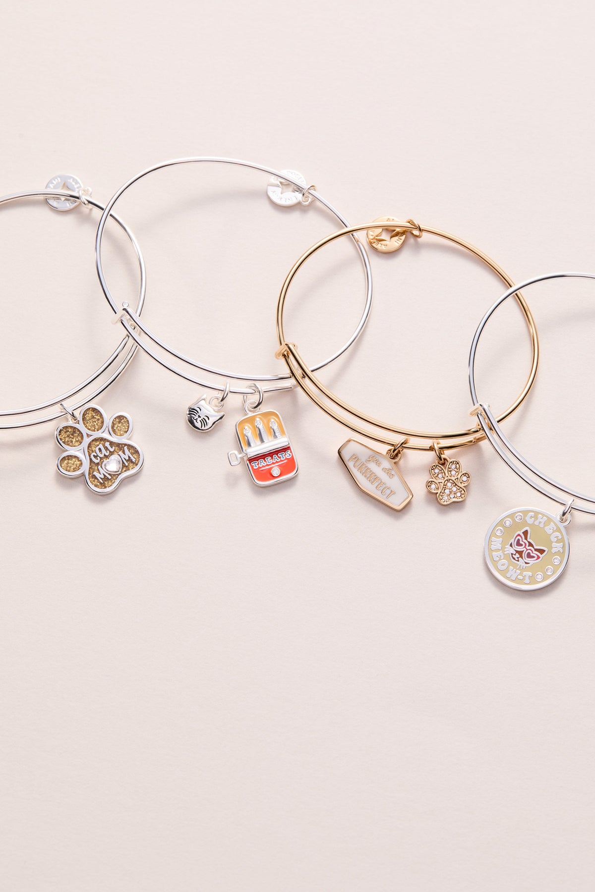 You Are Purrrfect Charm Bangle