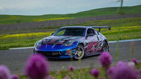 GT Wing – Nissan 350Z Coupe (Z33, 2002-2009) — photo 2 of 4