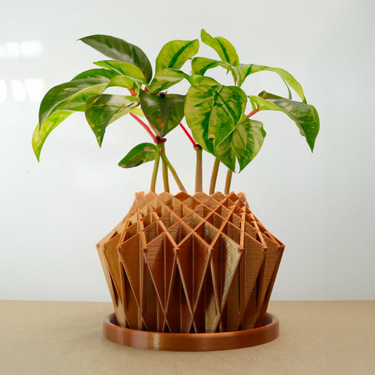 Galaxy Groove Plant Pot — photo 2 of 10