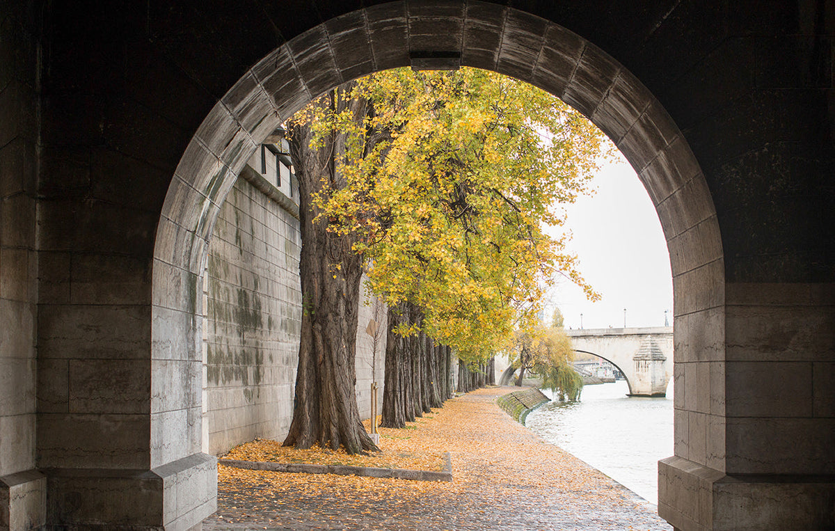 Autumn Stroll on The Seine