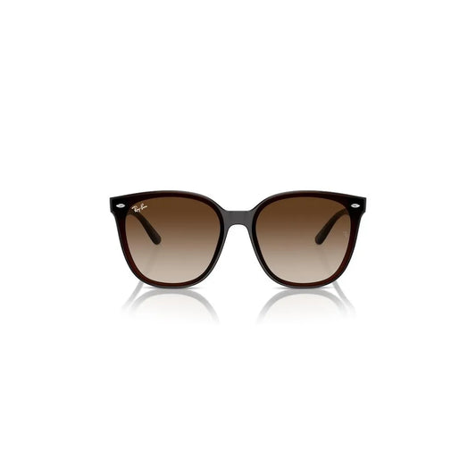 RAY-BAN Stylish Acetate Sunglasses for Men RB4423D