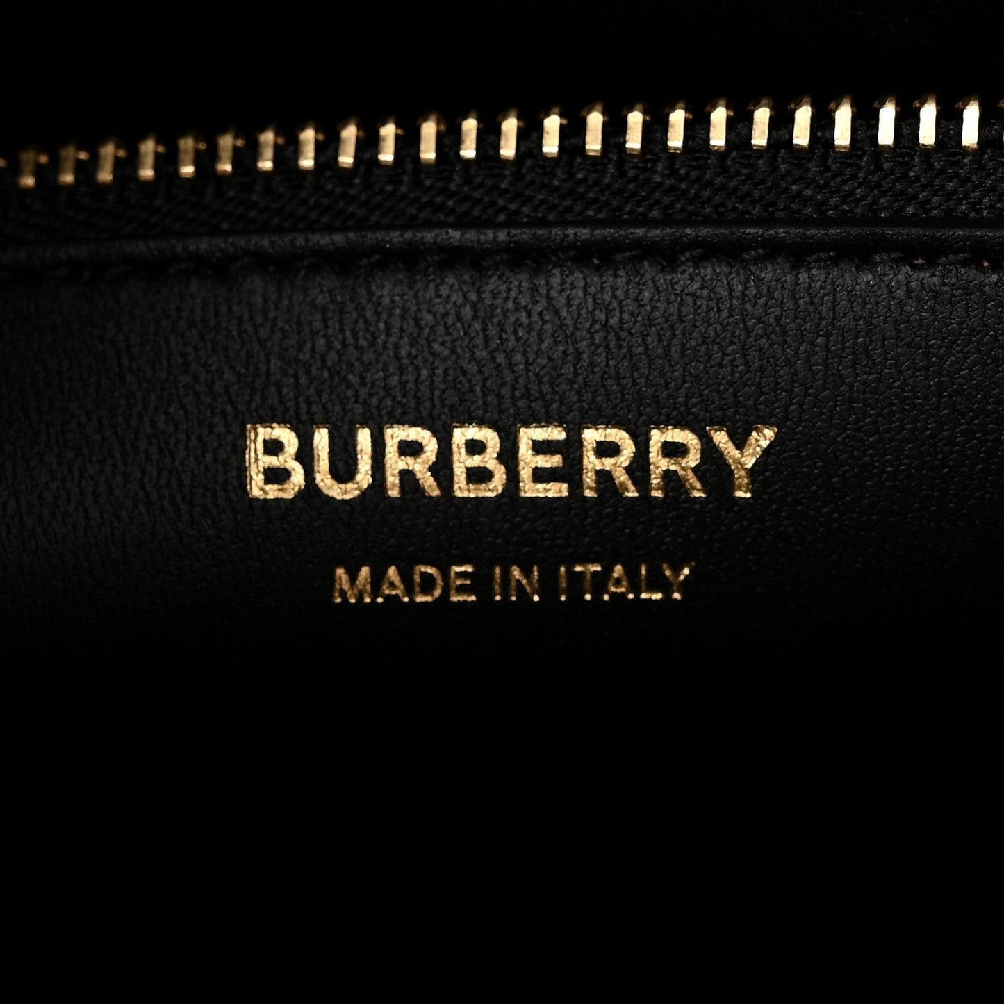 Burberry Crocodile Embossed Calfskin Mini Frances Tote