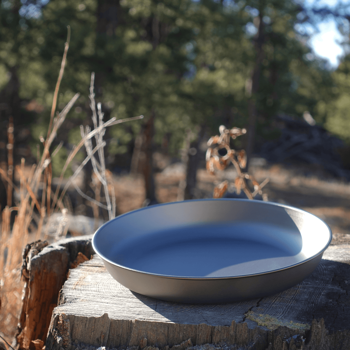 Kuvik 195mm Titanium Plate