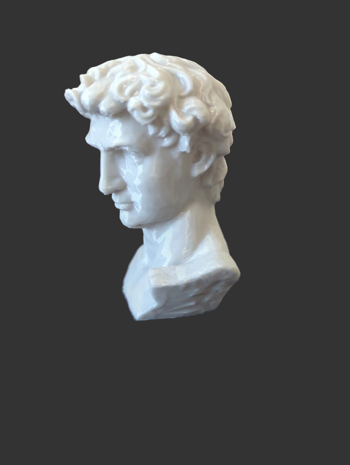 Experiment 002 Der Low-Poly David