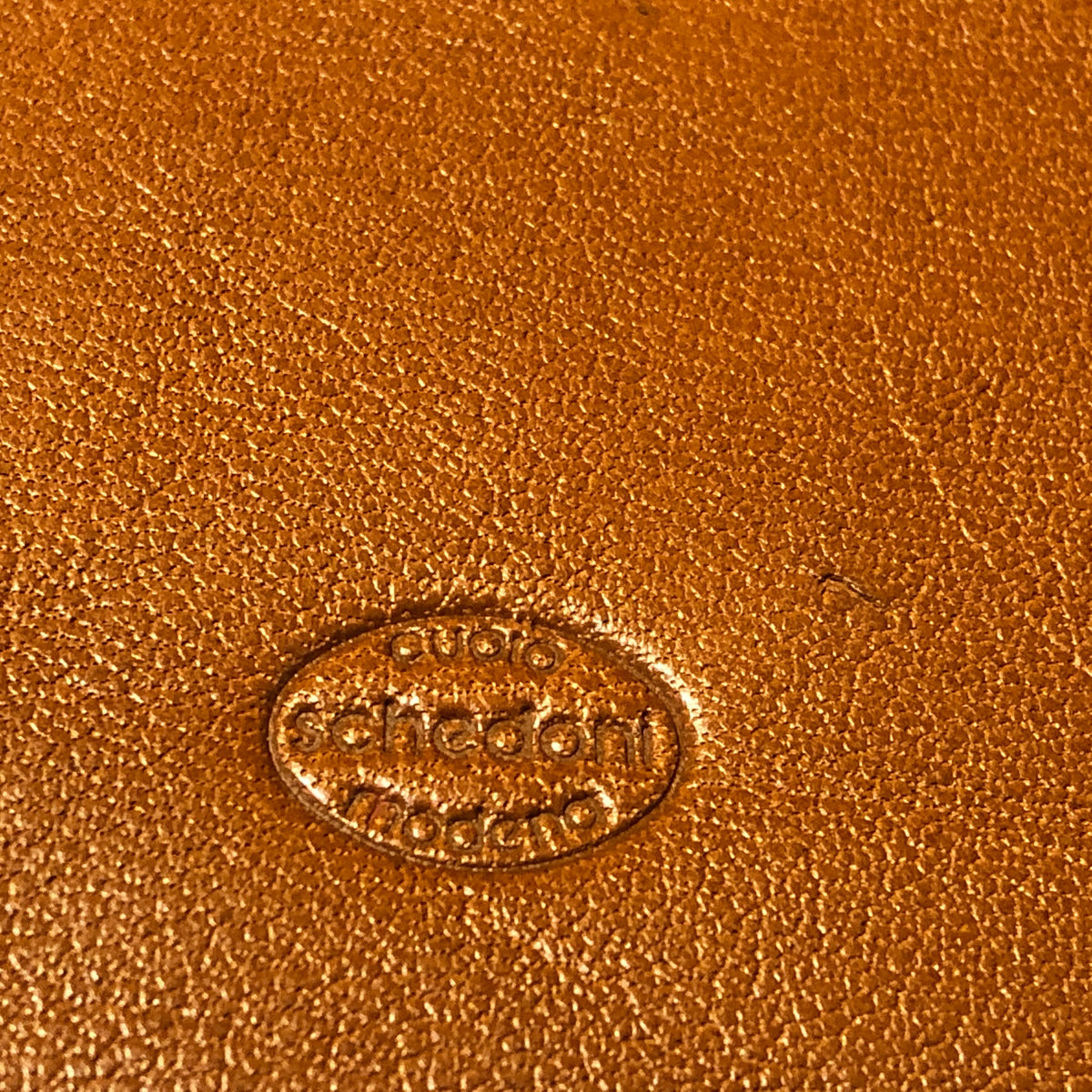Schedoni Leather Agenda 1995