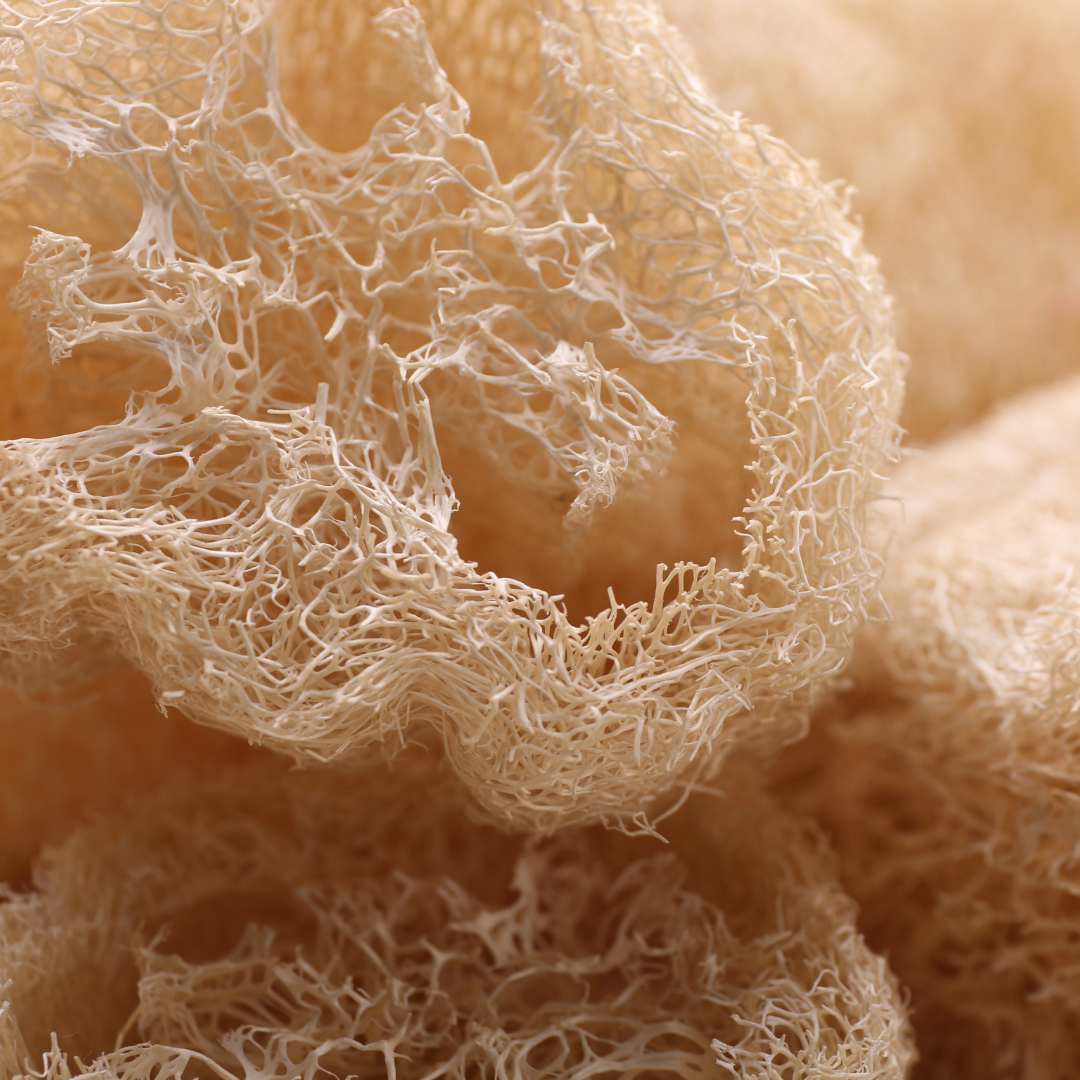 Natural Loofah Sponge — photo 4 of 7