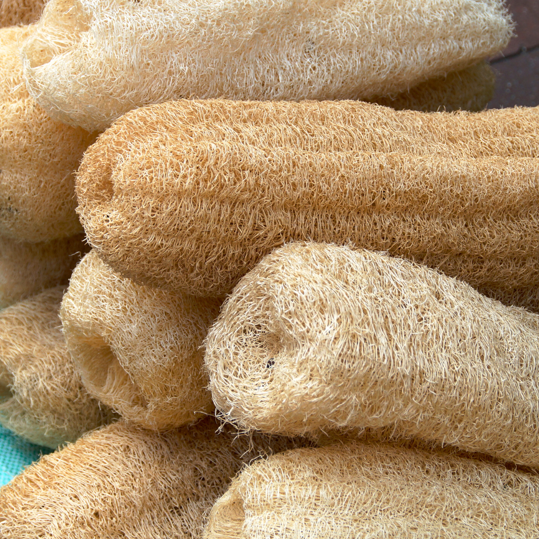 Natural Loofah Sponge — photo 3 of 7
