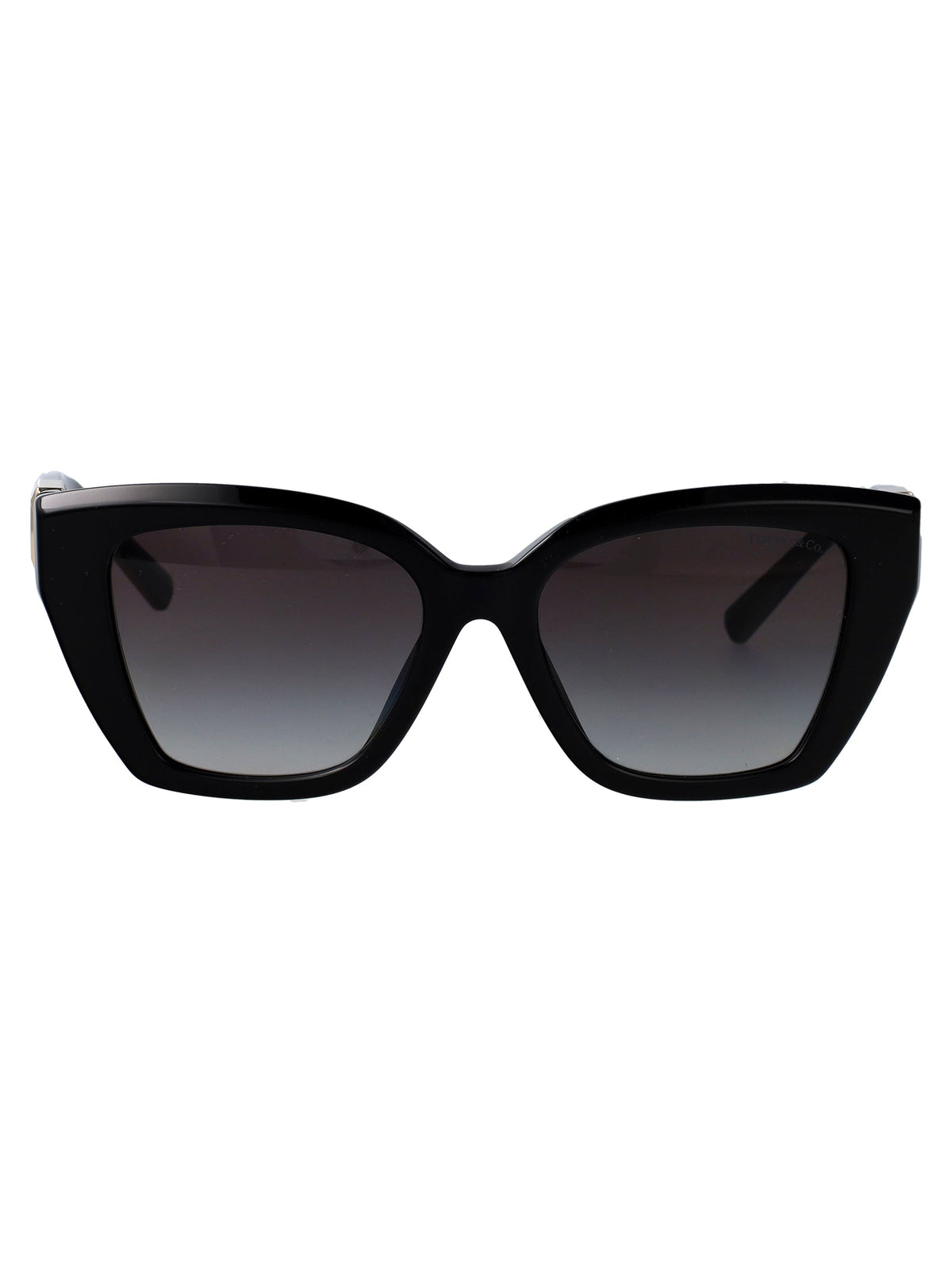 TIFFANY & CO Chic Acetate Sunglasses for Women - FW25 Collection
