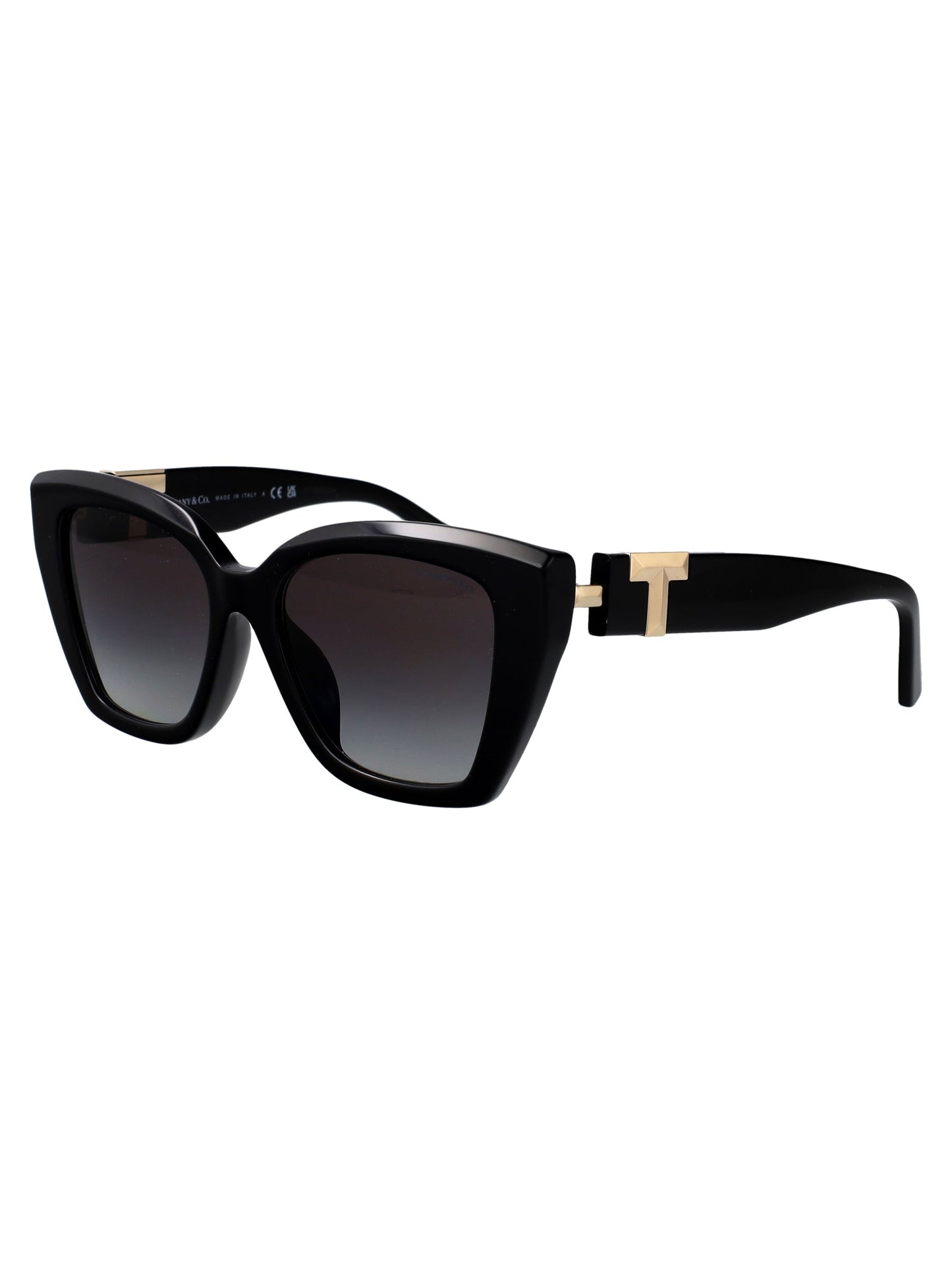 TIFFANY & CO Chic Acetate Sunglasses for Women - FW25 Collection
