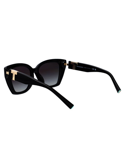 TIFFANY & CO Chic Acetate Sunglasses for Women - FW25 Collection