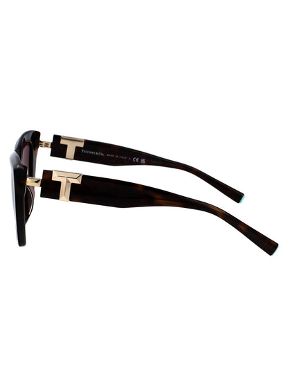 TIFFANY & CO Chic Acetate Sunglasses for Women