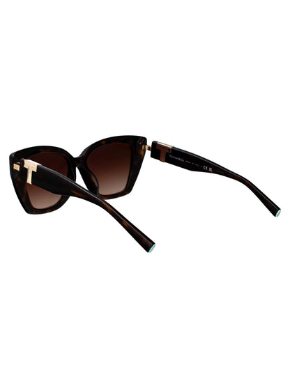 TIFFANY & CO Chic Acetate Sunglasses for Women