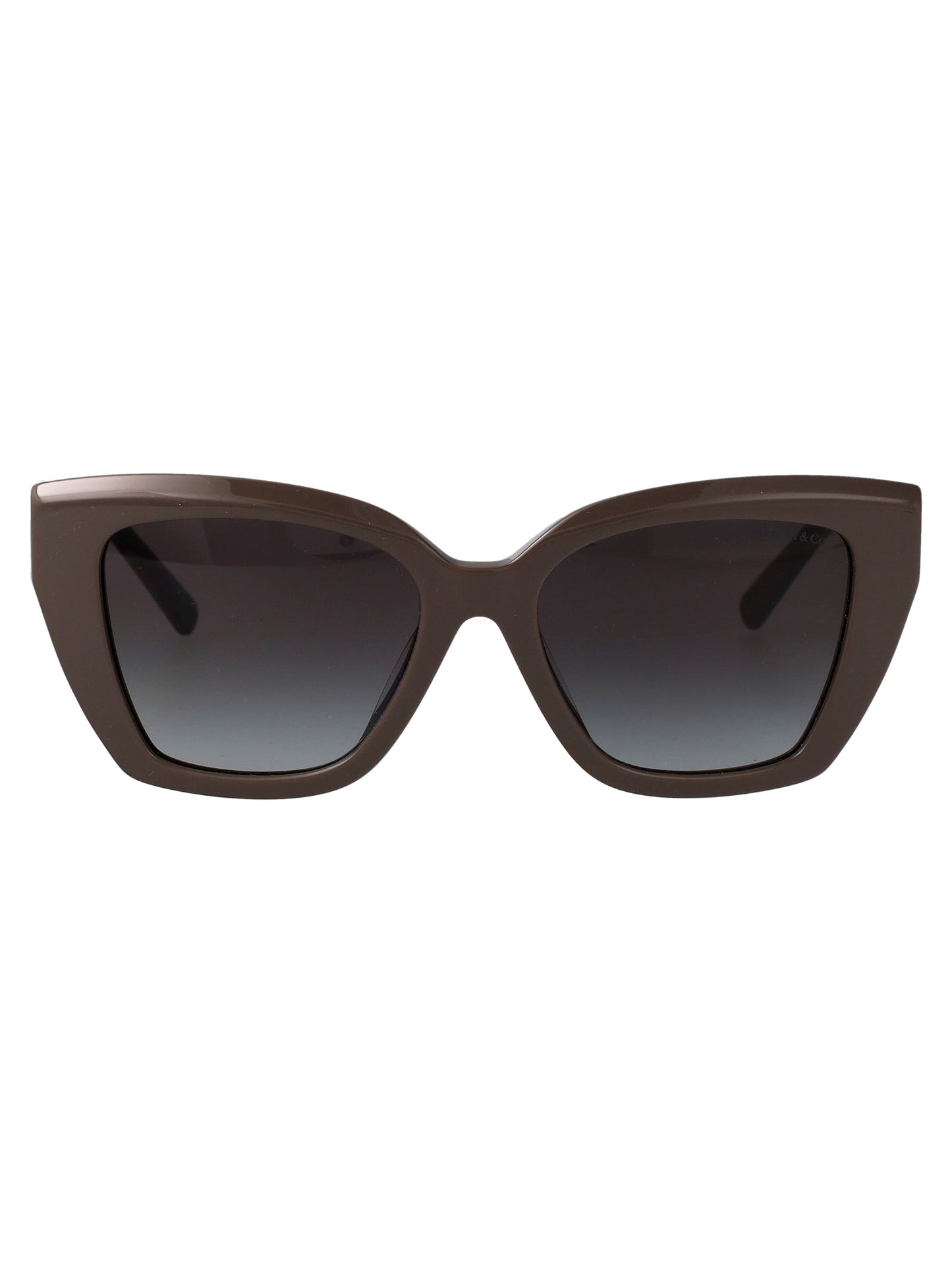 TIFFANY & CO Luxury Acetate Sunglasses for Women