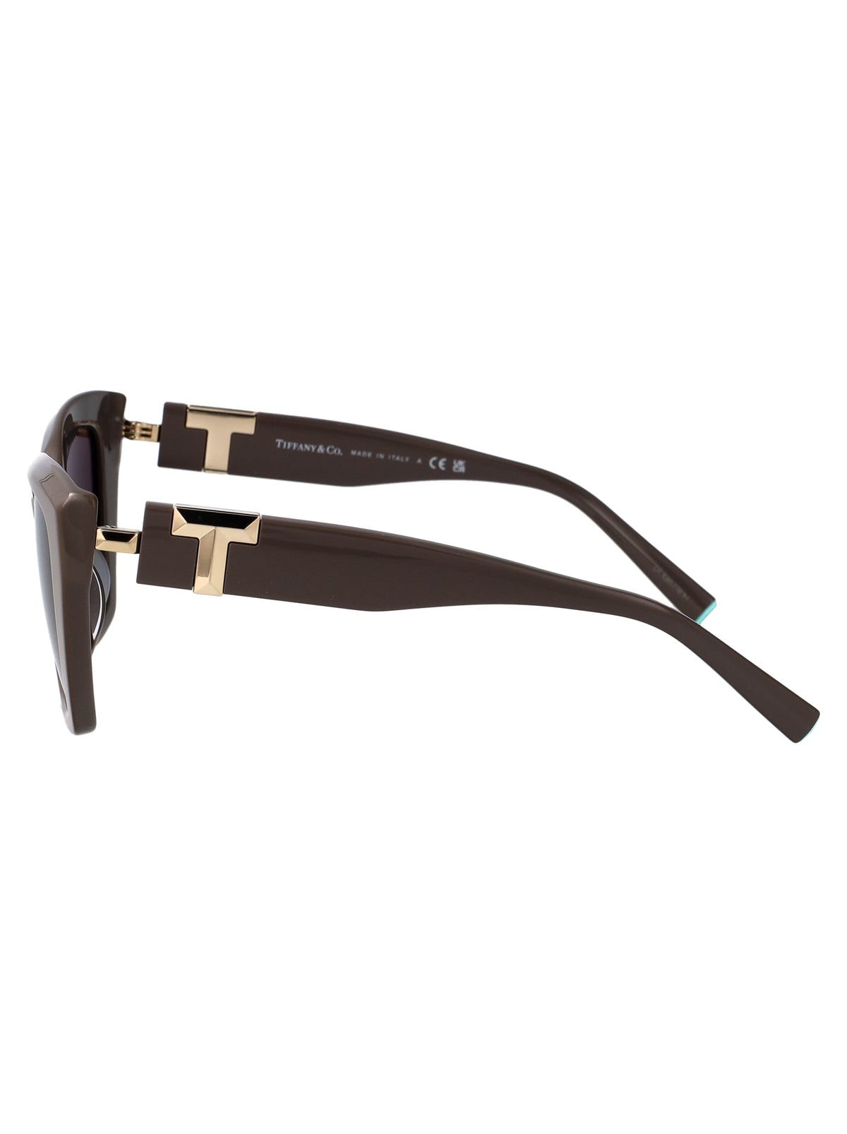 TIFFANY & CO Luxury Acetate Sunglasses for Women
