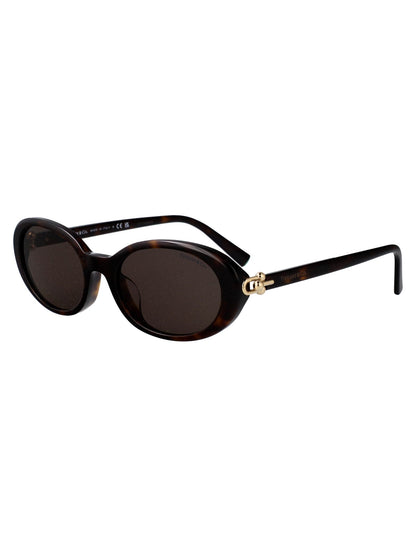 TIFFANY & CO Havana Acetate Sunglasses for Women