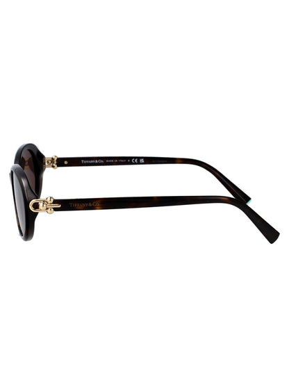 TIFFANY & CO Havana Acetate Sunglasses for Women