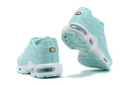 Nike Air Max Plus 'Igloo'