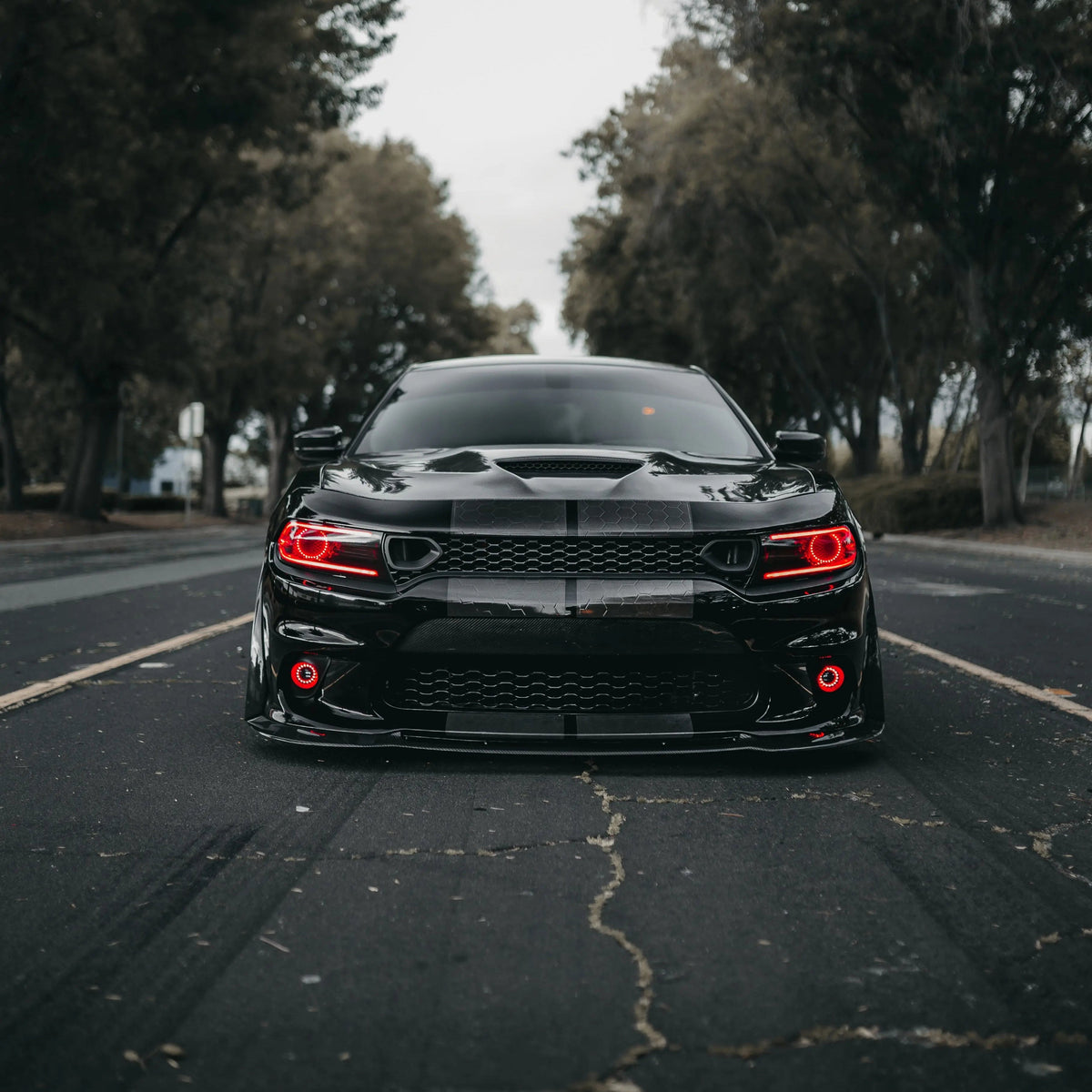2015-2023 Dodge Charger Carbon Fiber Front Lip Splitter