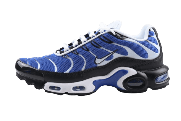 Nike Air Max Plus 'Varsity Royal Black White'