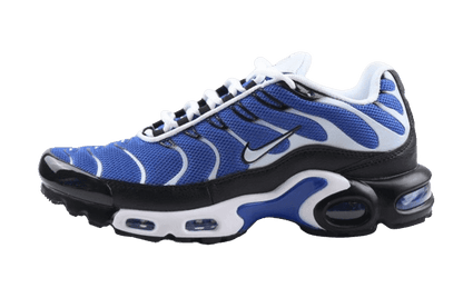 Nike Air Max Plus 'Varsity Royal Black White'