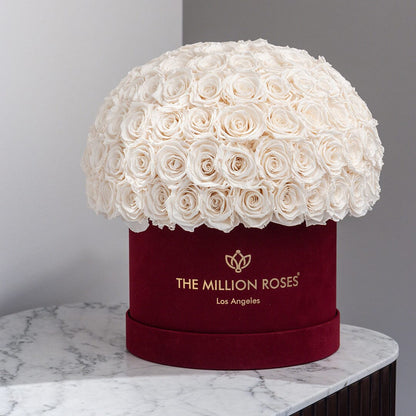 Supreme Bordeaux Suede Superdome Box | White Roses