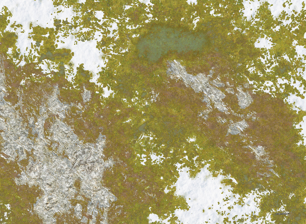 30x22" Double-Sided 'Snowy Tundra' + 'Volcanic Tomb' F.A.T. Mat Battle Gaming Mat — photo 3 of 3