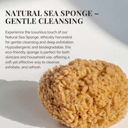 Natural Sea Sponge — photo 2 of 4