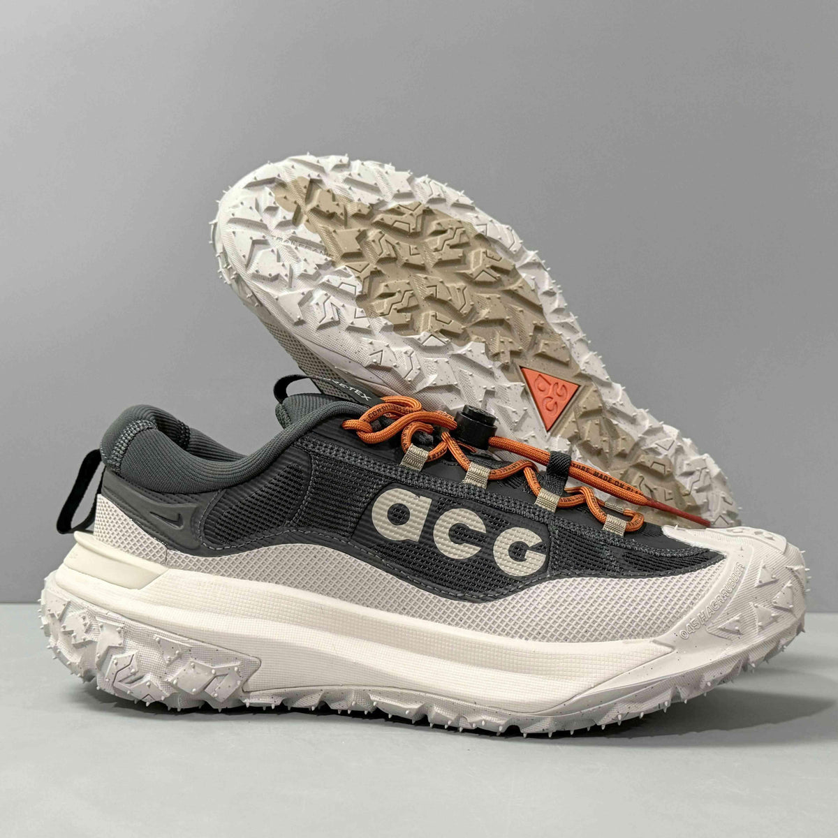 Nike ACG Mountain Fly 2 Low Gore-Tex 'Dark Smoke Grey'