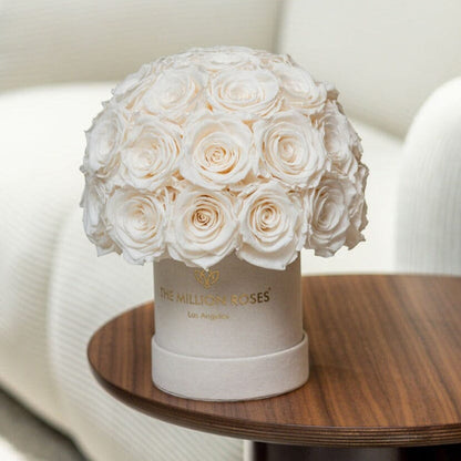 Essence Beige Suede Superdome Box | White Roses