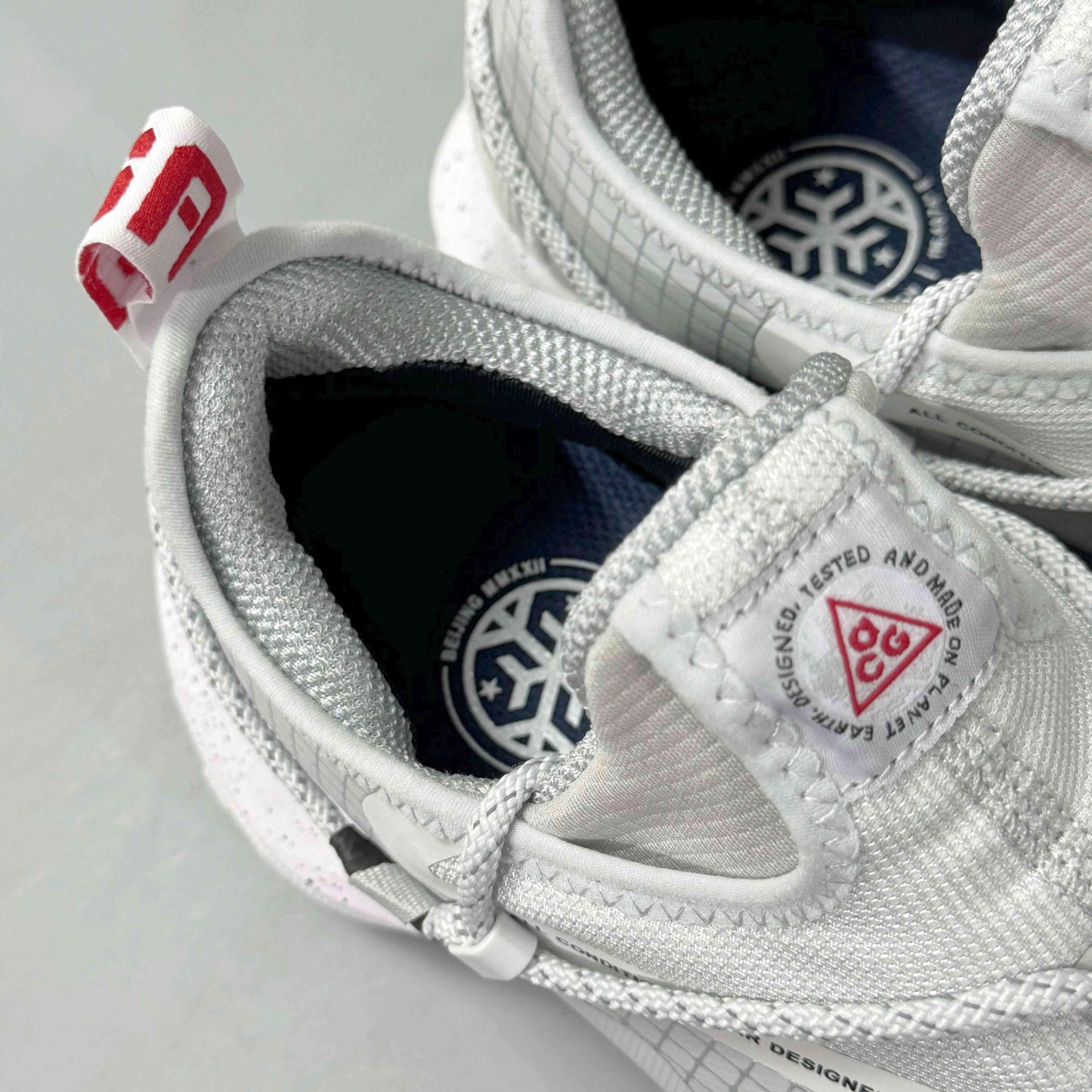 Nike ACG Mountain Fly Low Gore-Tex SE 'Team USA'