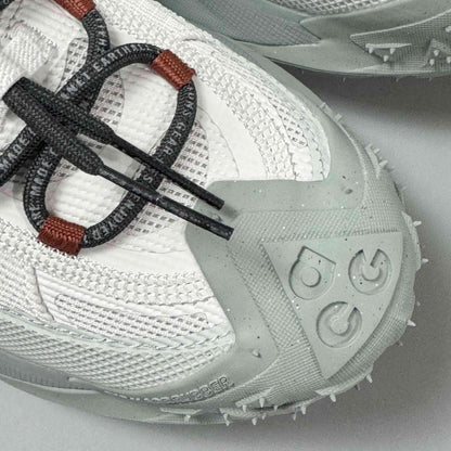 Nike ACG Mountain Fly 2 Low Gore-Tex 'Phantom Light Silver'