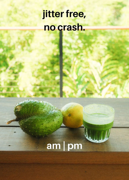 LAKA® Matcha™