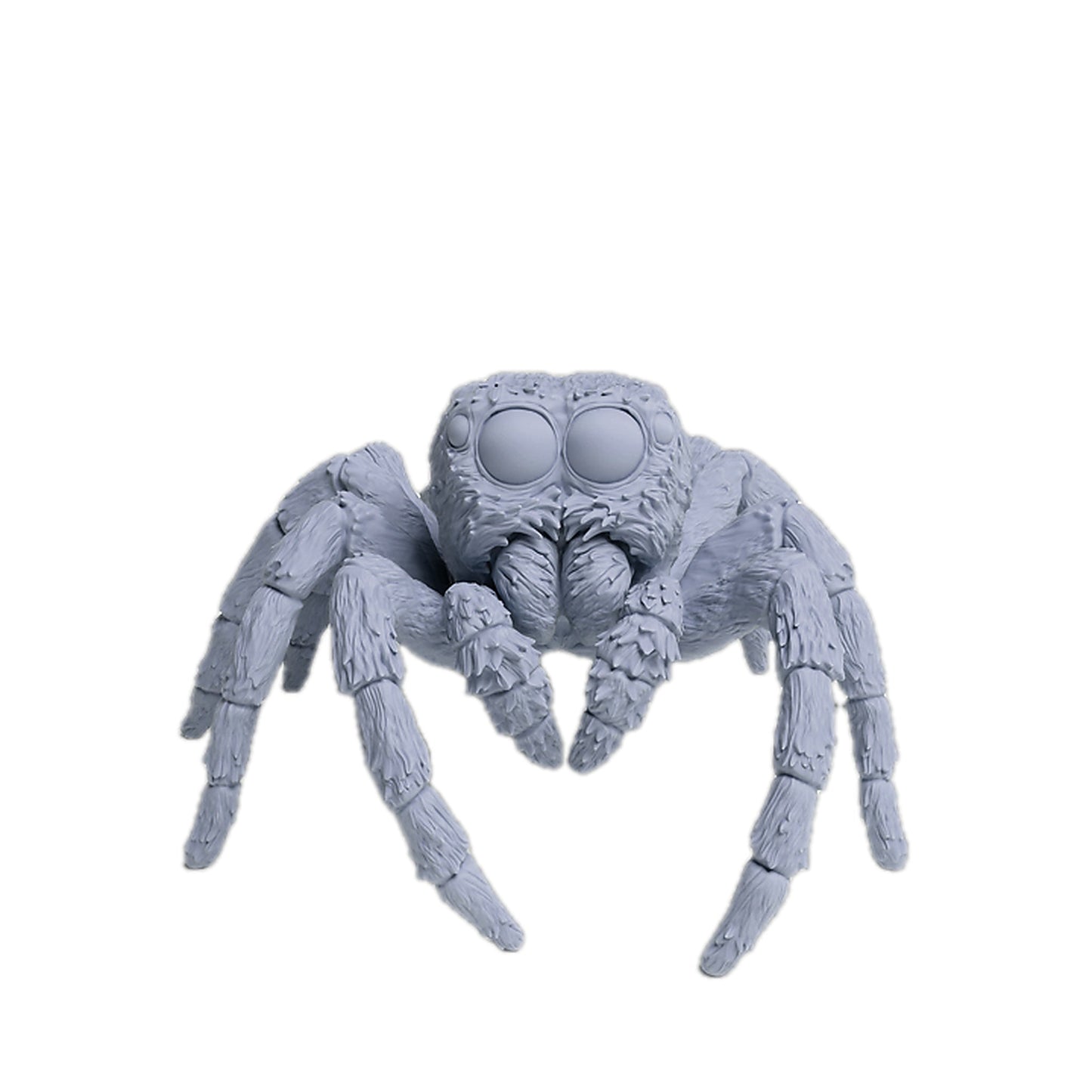 Araña saltarina (Carrhotus xanthogramma) | Animal Den Miniatures