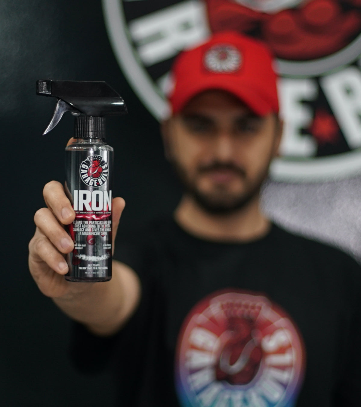 IRON REMOVER & WHEEL CLEANER — photo 3 of 5