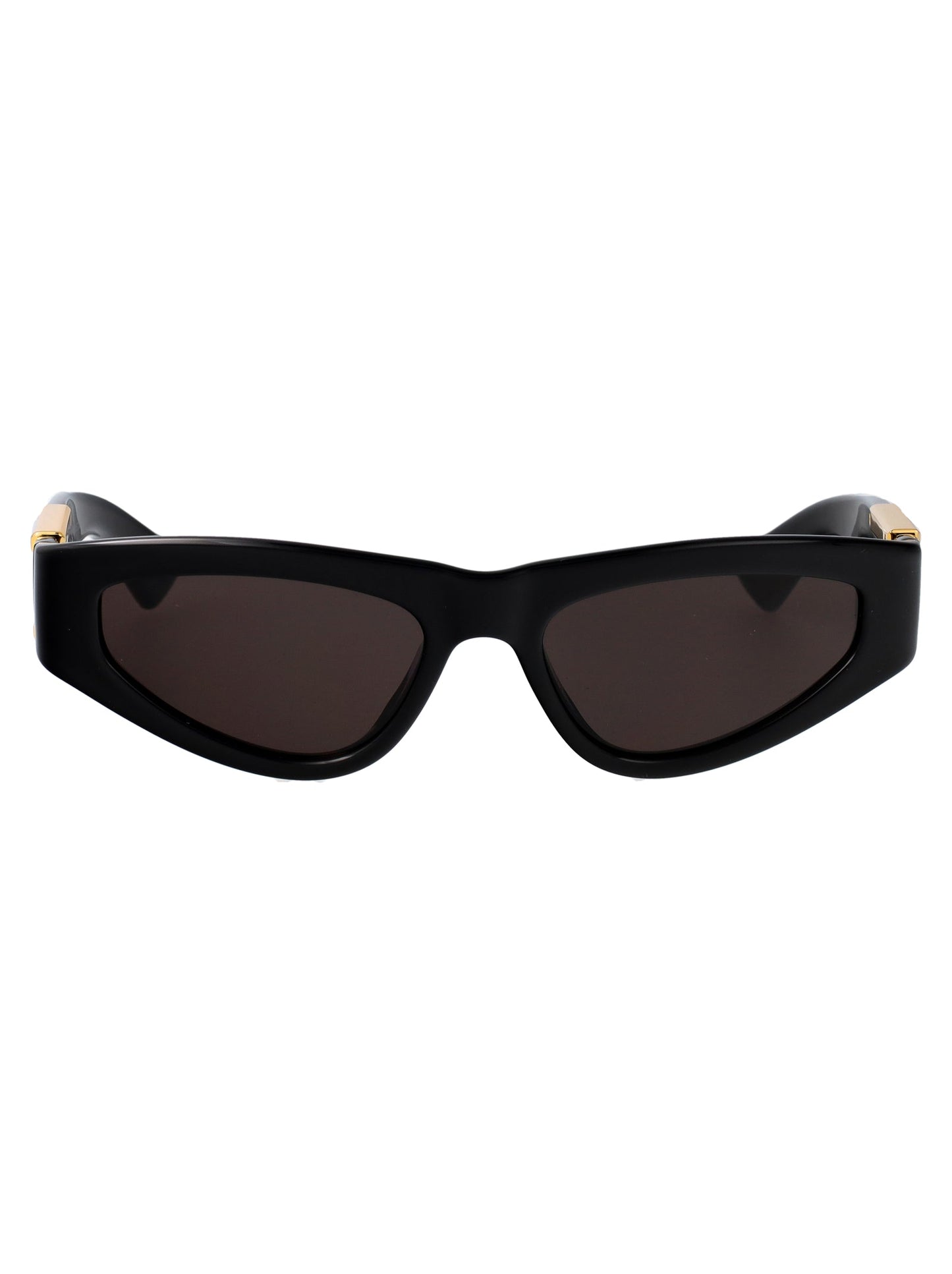 BOTTEGA VENETA Timeless Classic Women's Sunglasses