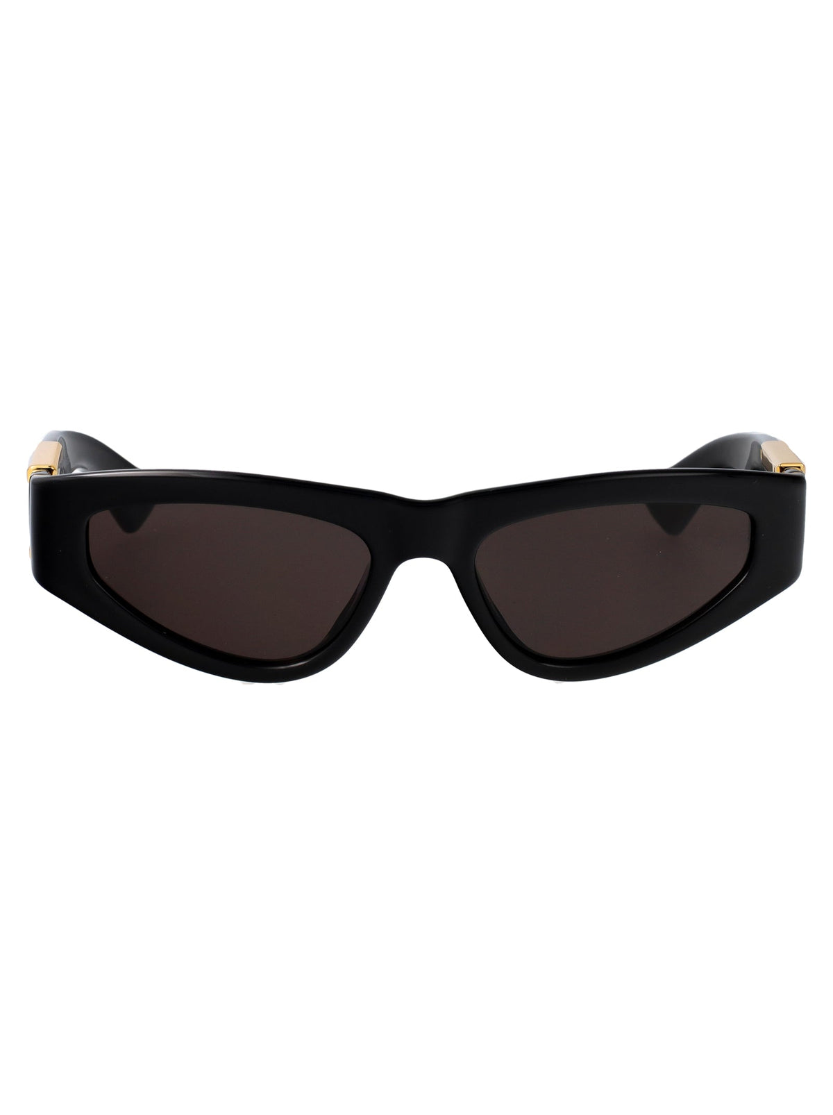BOTTEGA VENETA Timeless Classic Women's Sunglasses