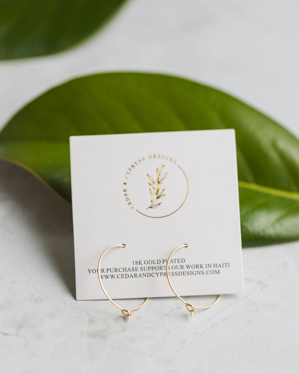 Dainty Gold Hoop