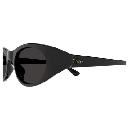 CHLOÉ Chic Women's Sunglasses