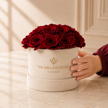 Classic Beige Suede Dome Box | Red Roses