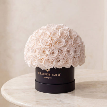 Classic Black Superdome Box | White Roses