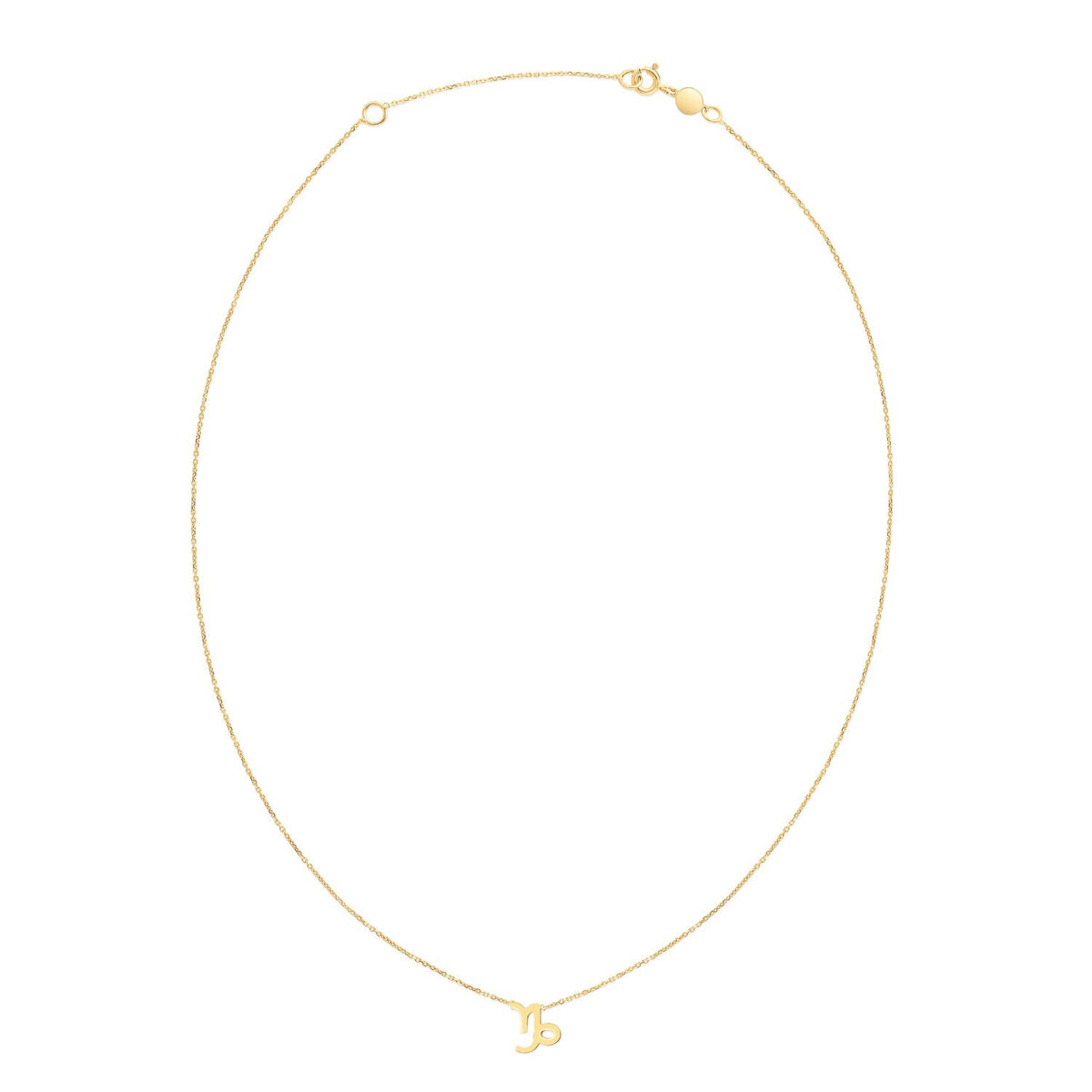 14K Yellow Gold Capricorn Necklace