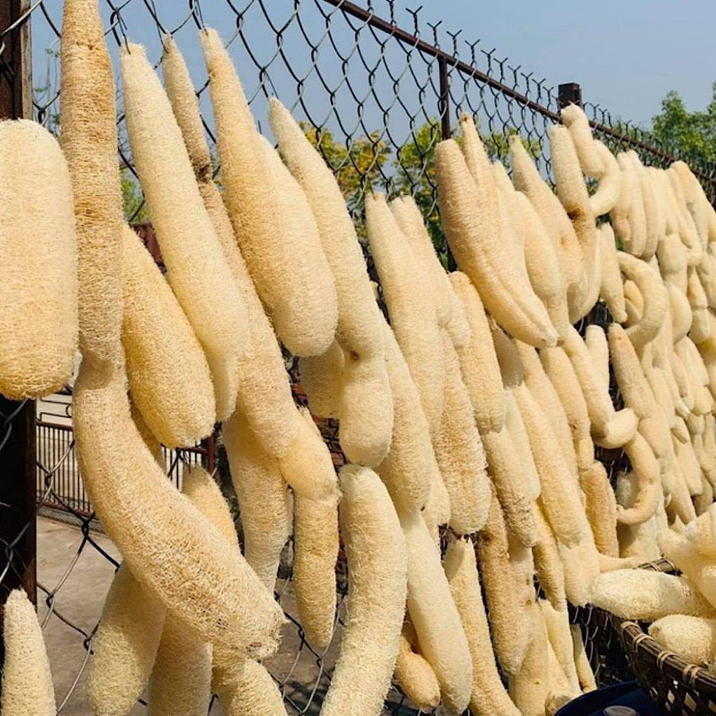 Natural Loofah Sponge — photo 5 of 7