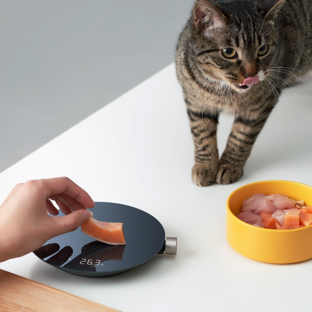 Smart Kitchen Scale — photo 3 of 7