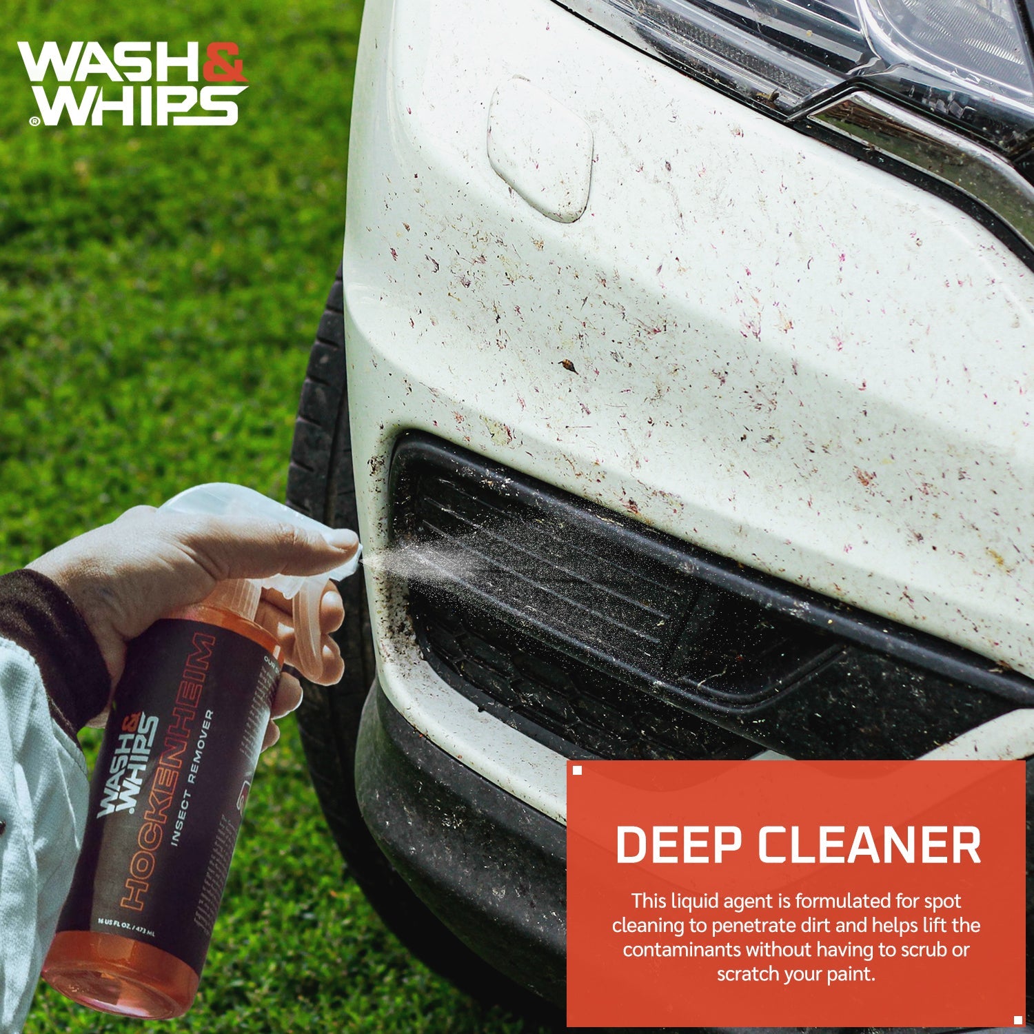 WASH&WHIPS Hockenheim Insect & Bug Removal — photo 3 of 10