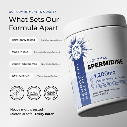 Liposomal Spermidine Capsules