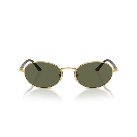 PERSOL Classic Metal Sunglasses for Men