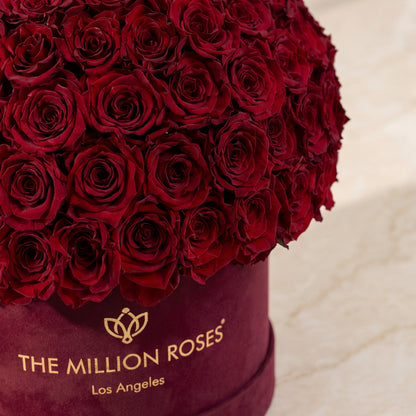 Supreme Bordeaux Suede Superdome Box | Burgundy Roses