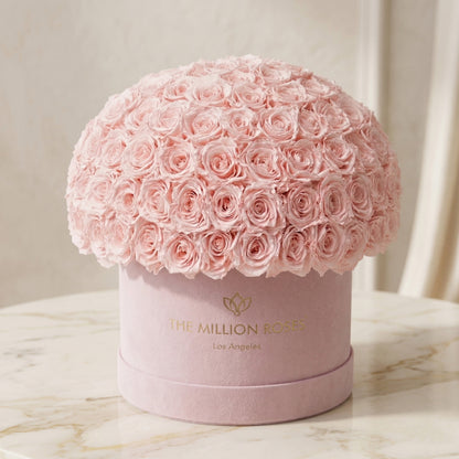 Supreme Light Pink Suede Superdome Box | Light Pink Roses